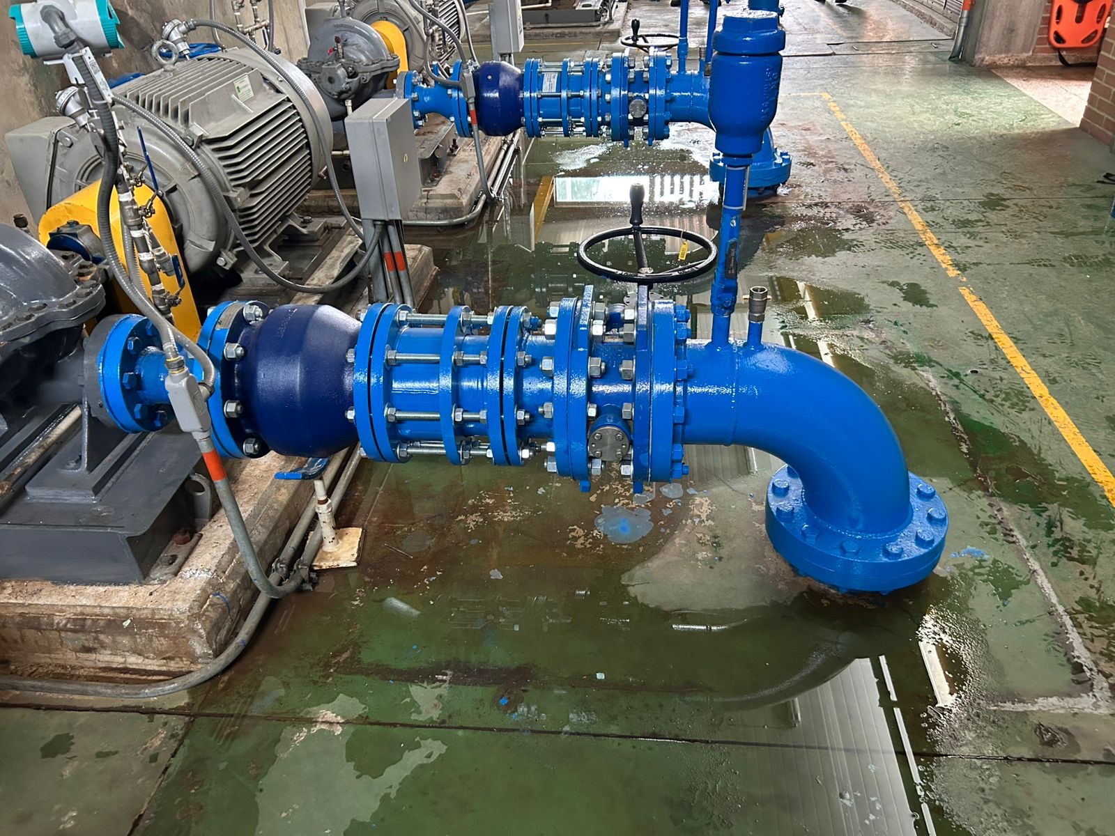 Descripción de la imagen